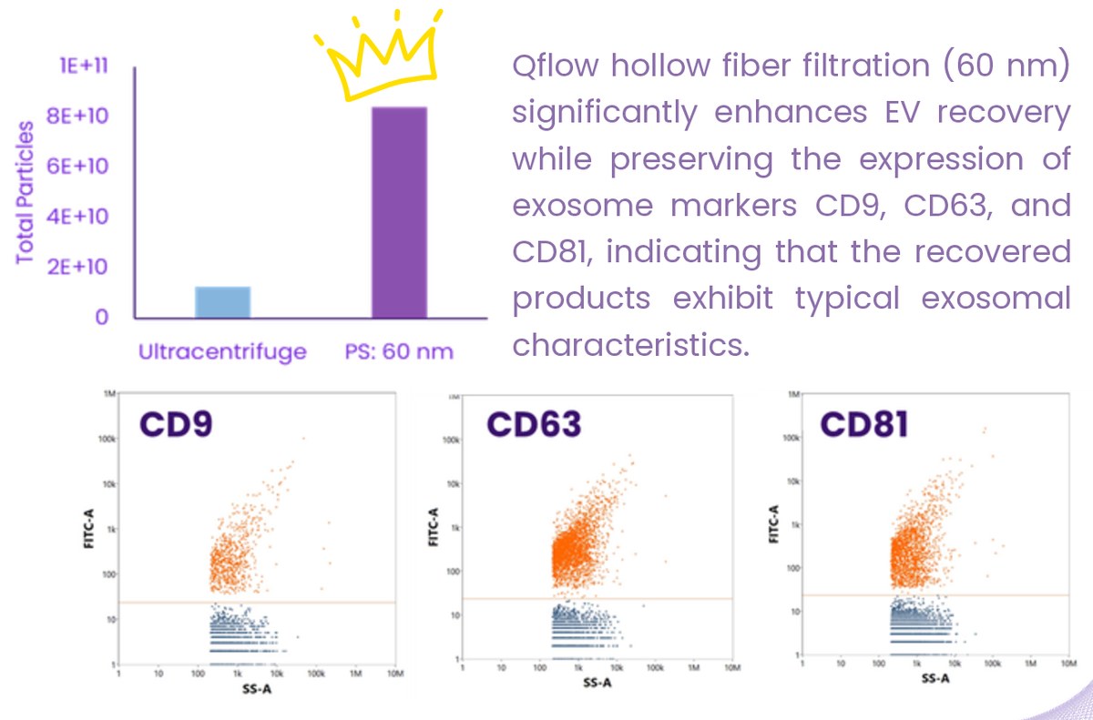 EV recovery and marker analysis (brochure experiment, 60 nm)