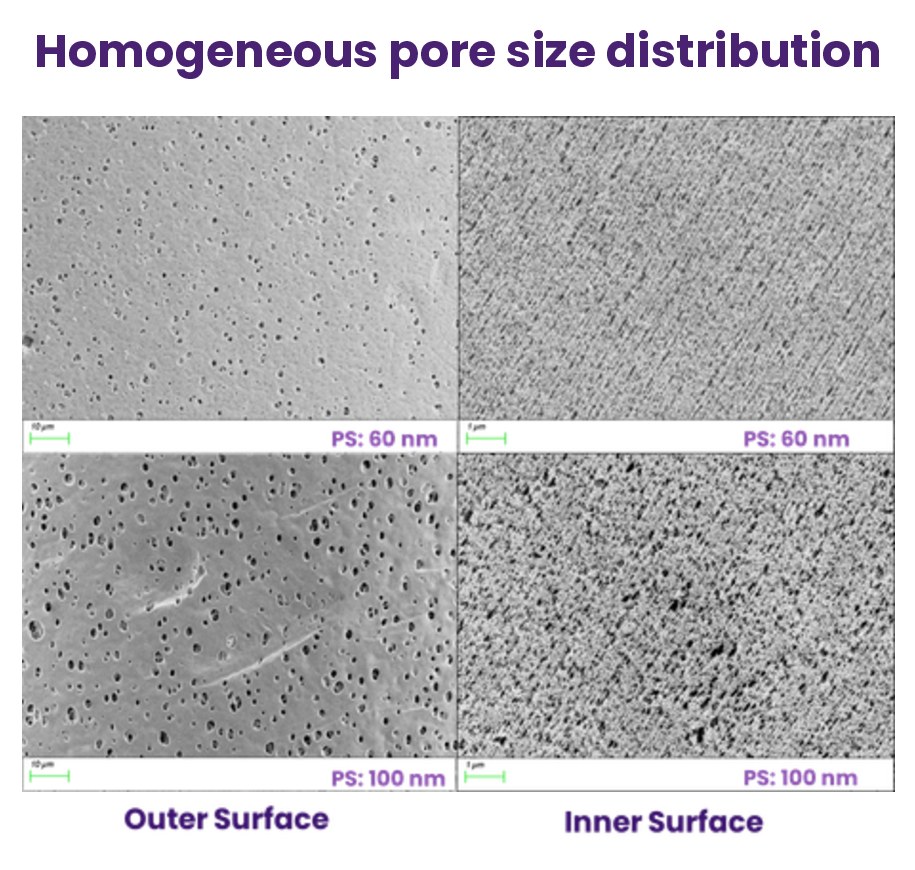 Membrane pore structure